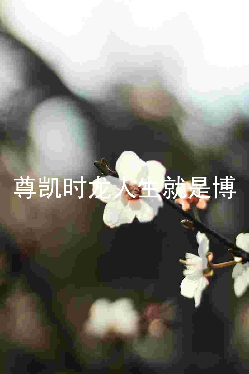 尊凯时龙人生就是博