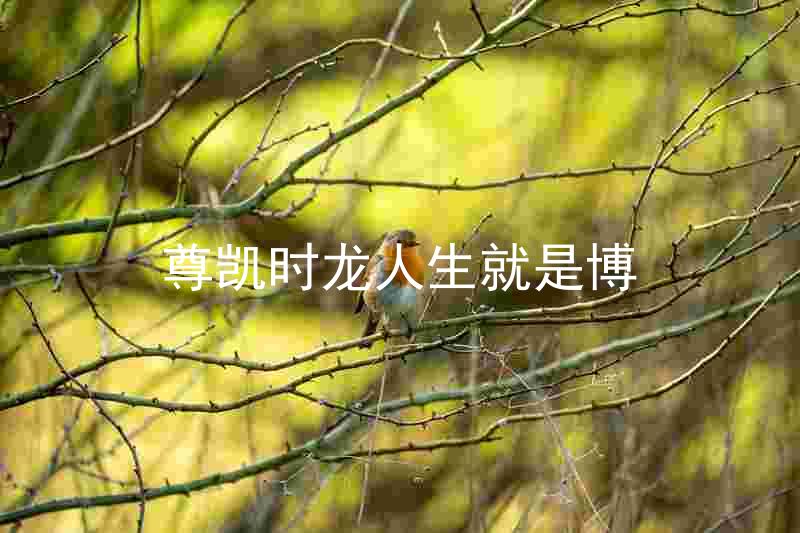尊凯时龙人生就是博