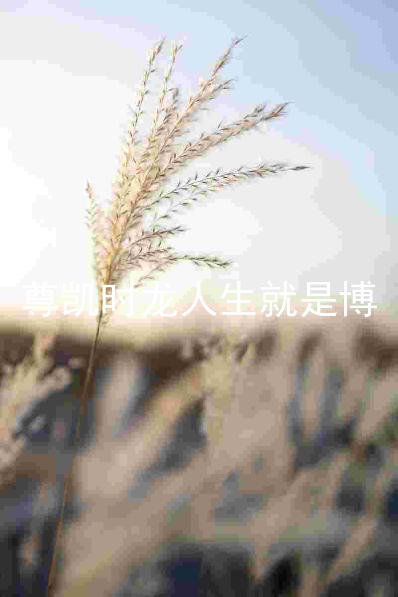 尊凯时龙人生就是博