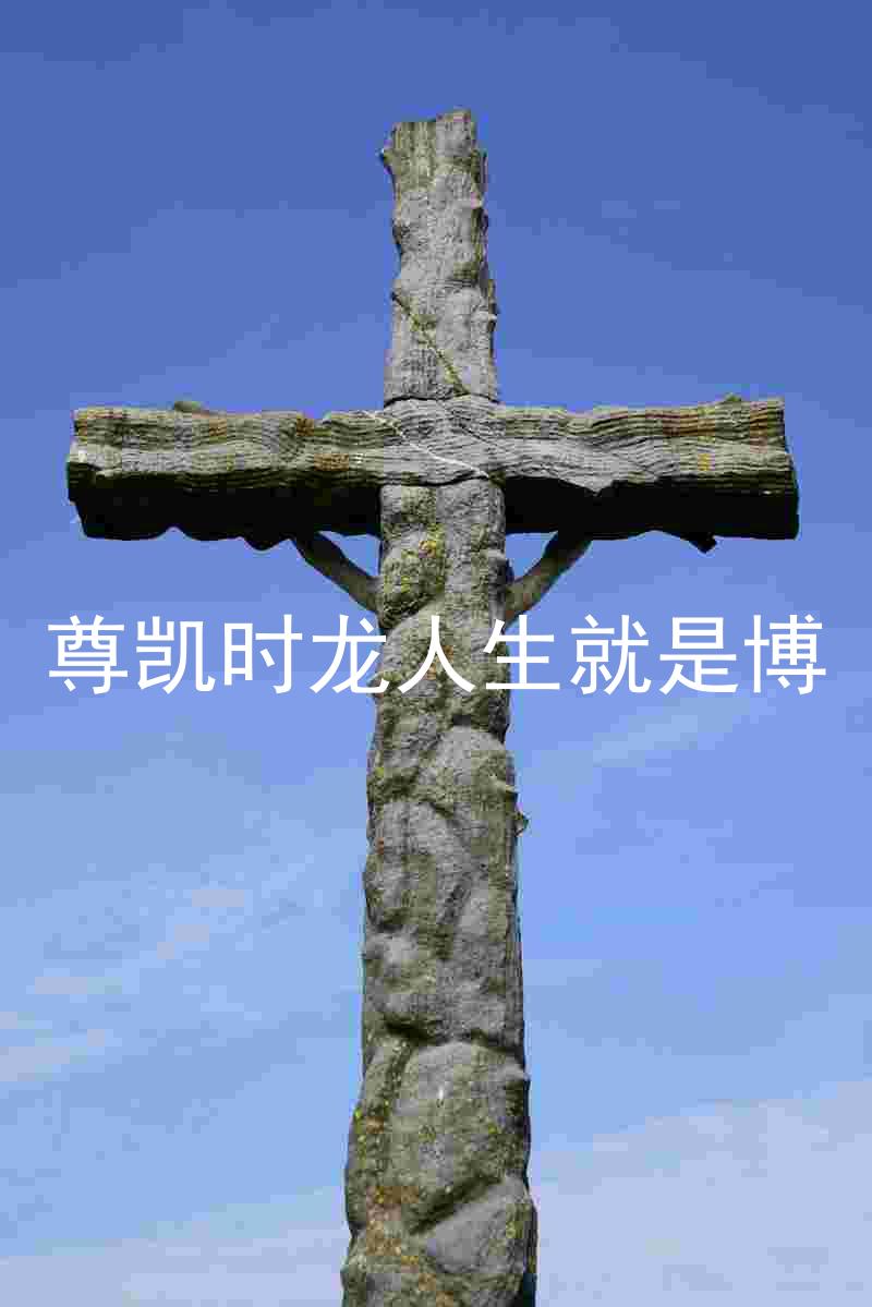 尊凯时龙人生就是博