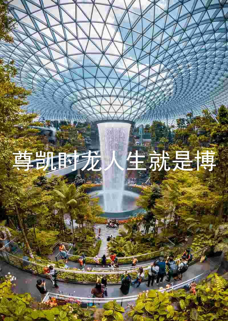 尊凯时龙人生就是博