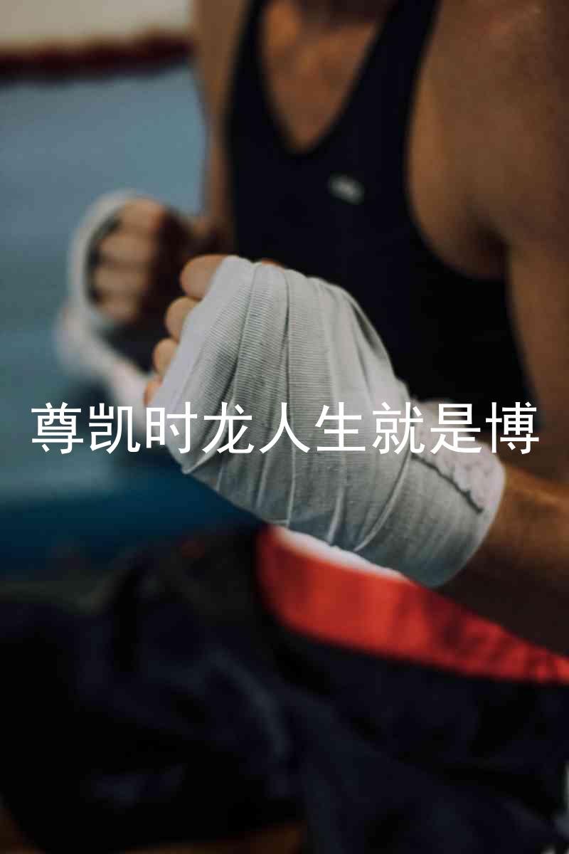 尊凯时龙人生就是博