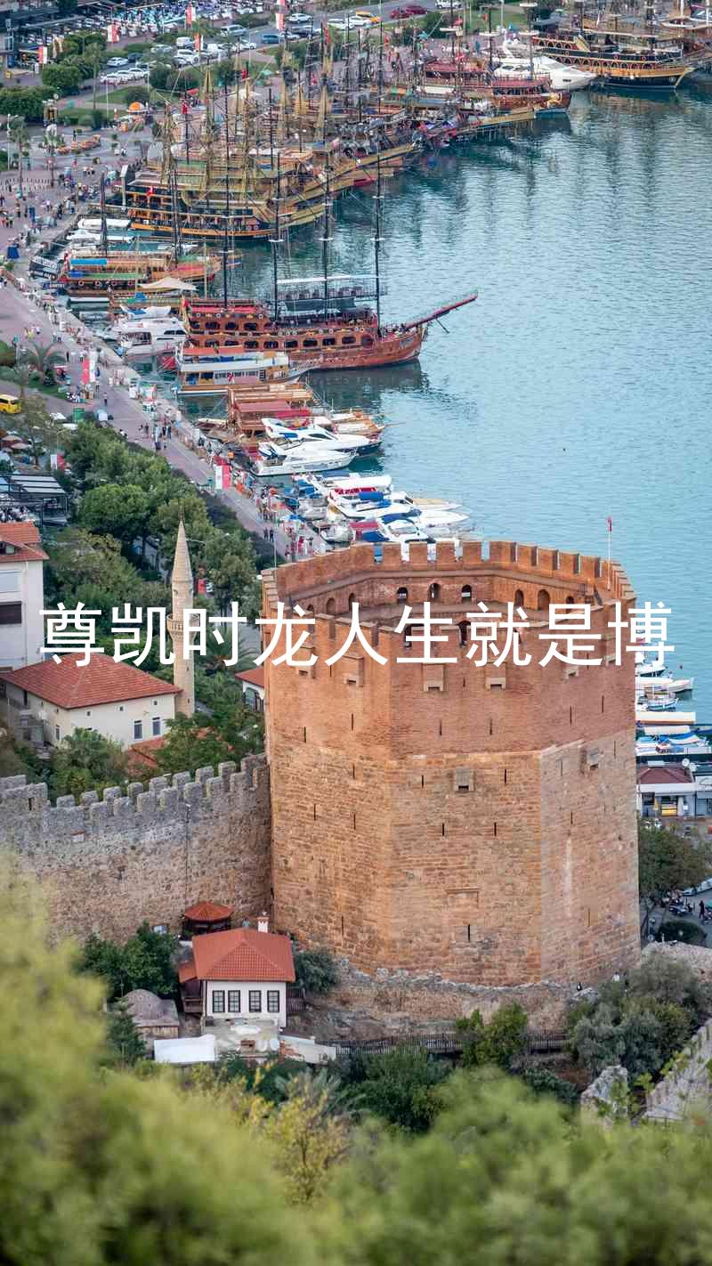 尊凯时龙人生就是博