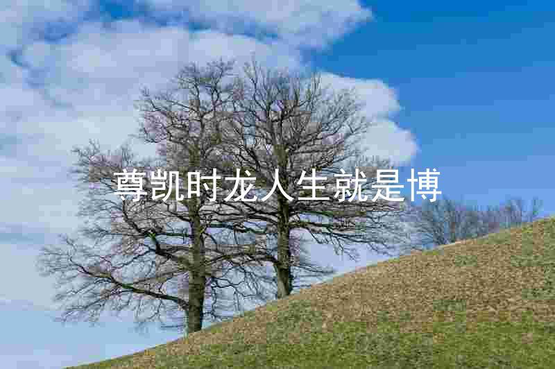 尊凯时龙人生就是博