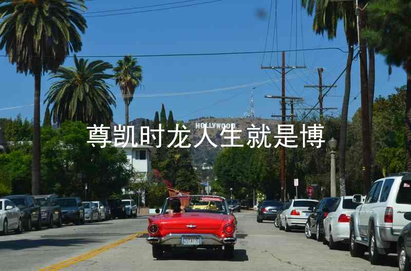 尊凯时龙人生就是博