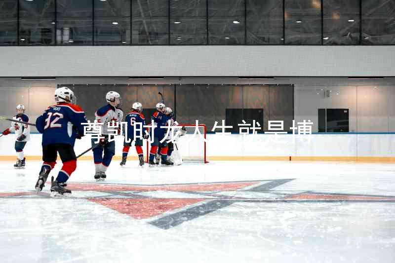 尊凯时龙人生就是博