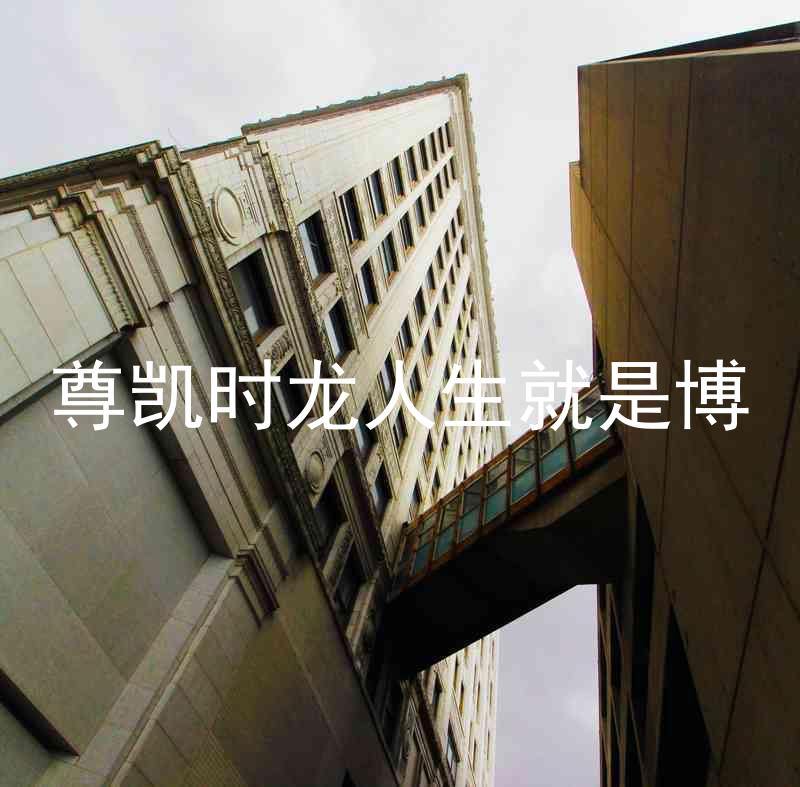 尊凯时龙人生就是博
