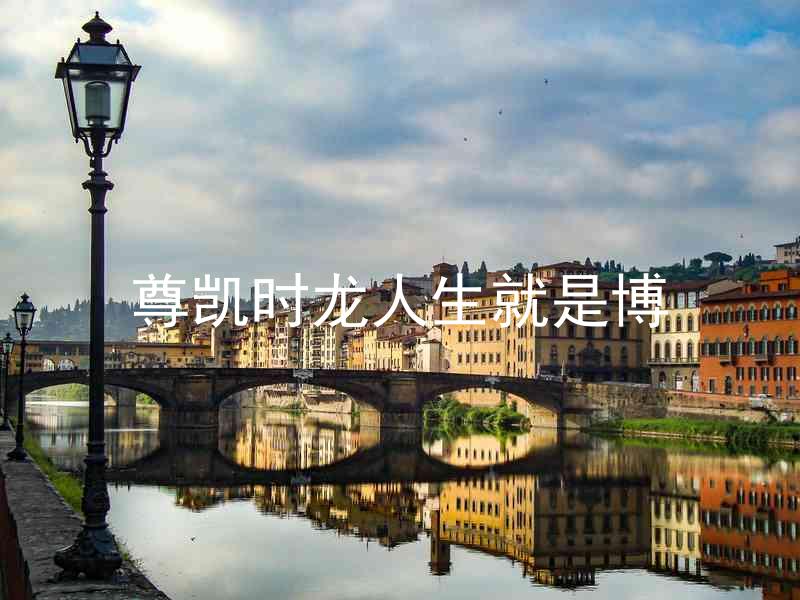 尊凯时龙人生就是博