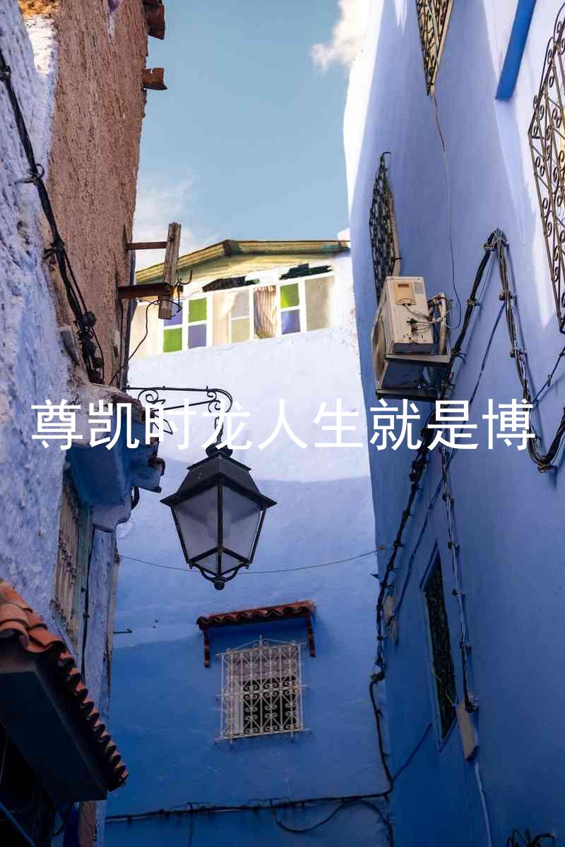 尊凯时龙人生就是博